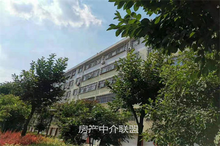 城南荆善安居3室1厅1卫78m2简单装修